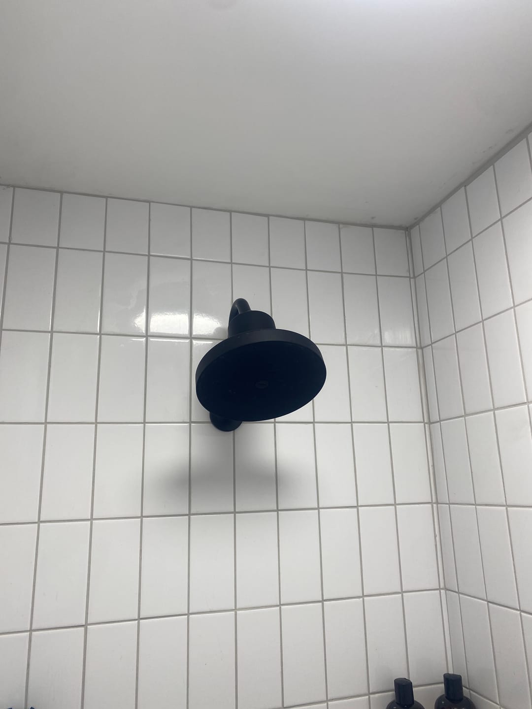 Customer photo review of Ultimate Showerhead