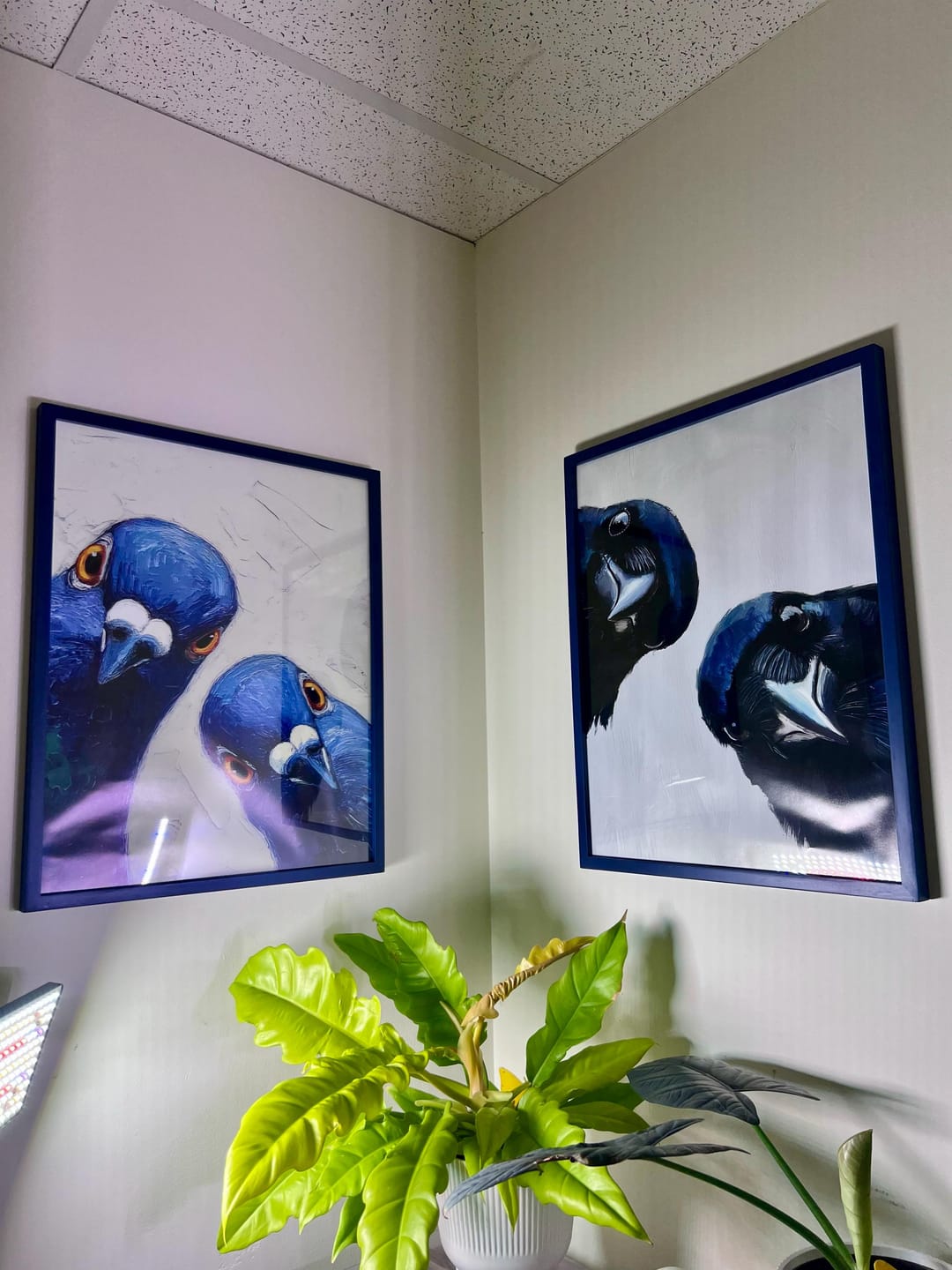 Customer photo review of Blue Pigeons Canvas Wall Art – Textured Bird Painting Print