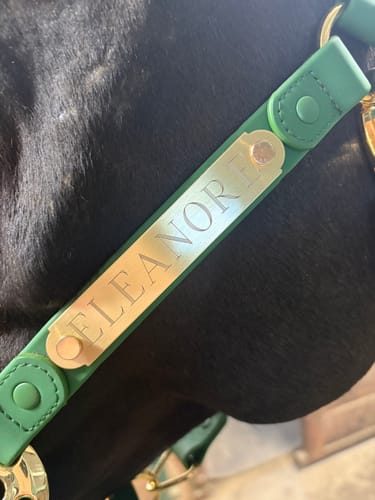 Customer photo review of Personalized Halter - Preorder