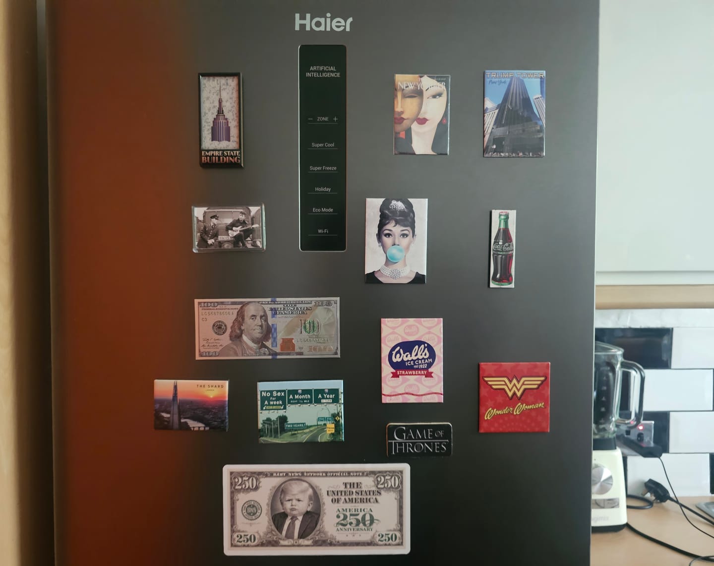 Customer photo review of 250th Anniversary Novelty 250 Bill Magnet