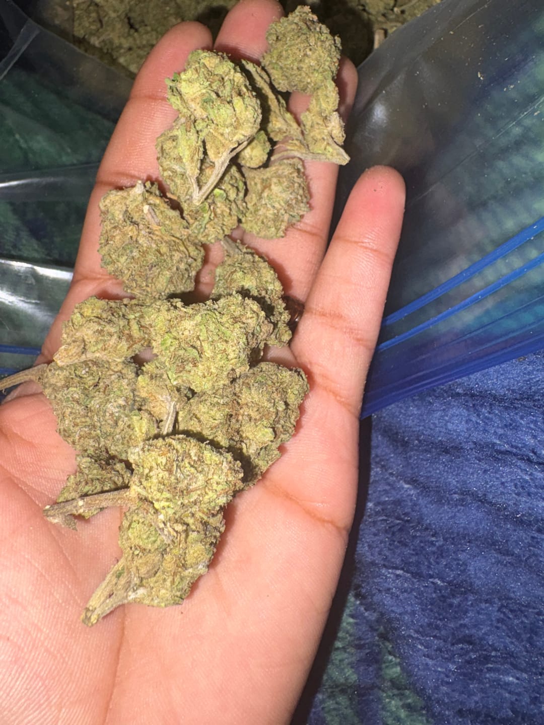 Customer photo review of White Widow - 28 Grams - Hybrid