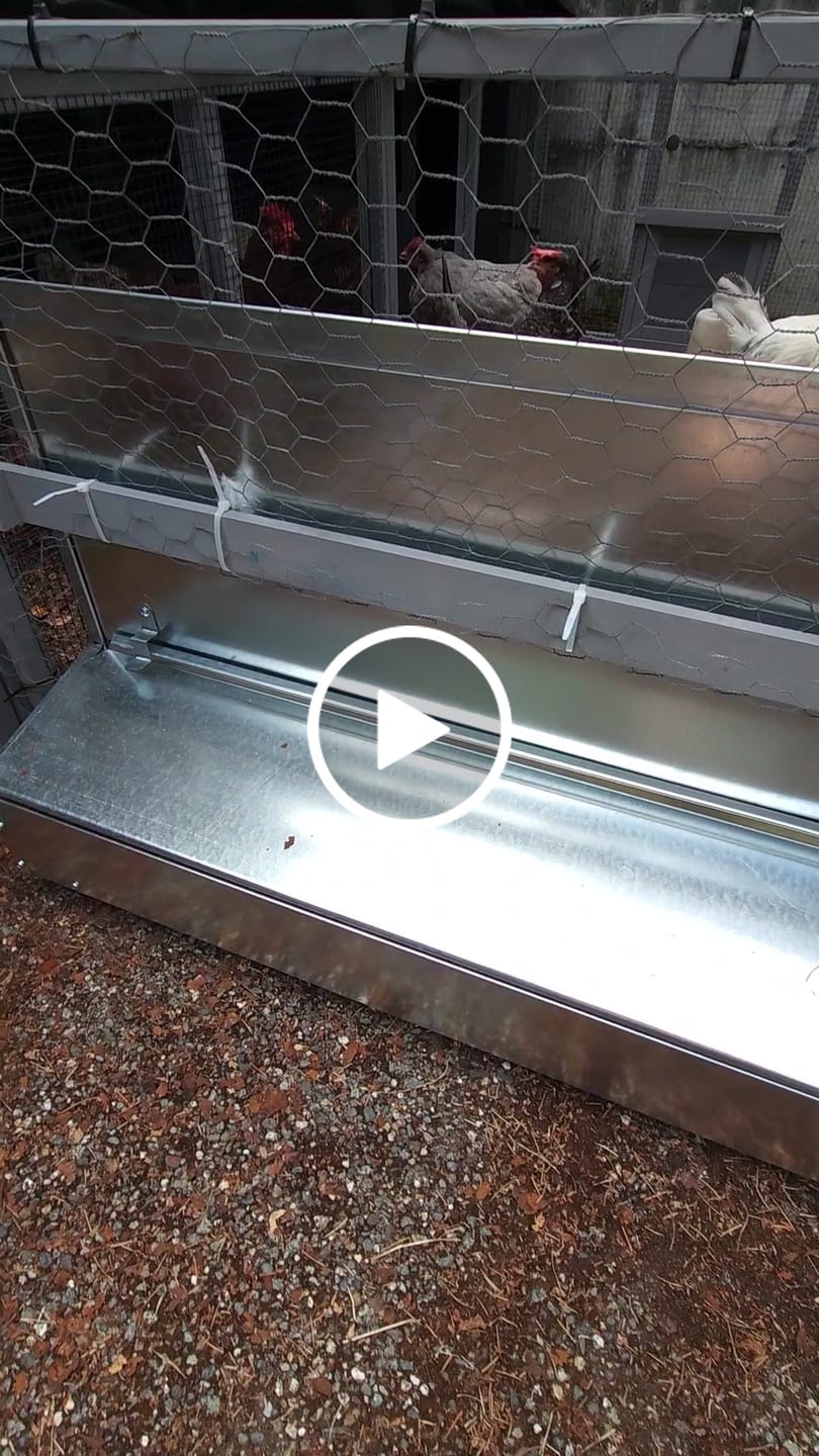 Customer video review of Medium (34") Reversible Roll-out Nest Box (Up to 32 Hens)