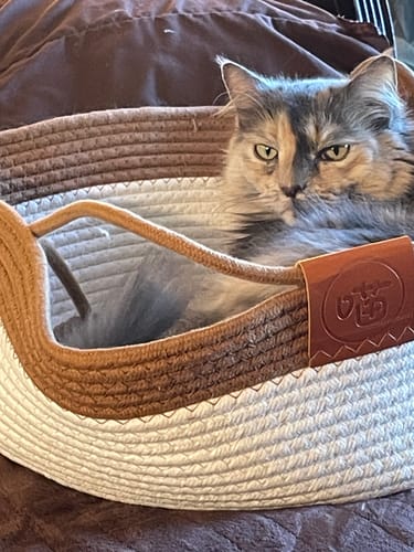 Customer photo review of Instinct Basket | Meet the first research-backed natural territory for indoor cats
