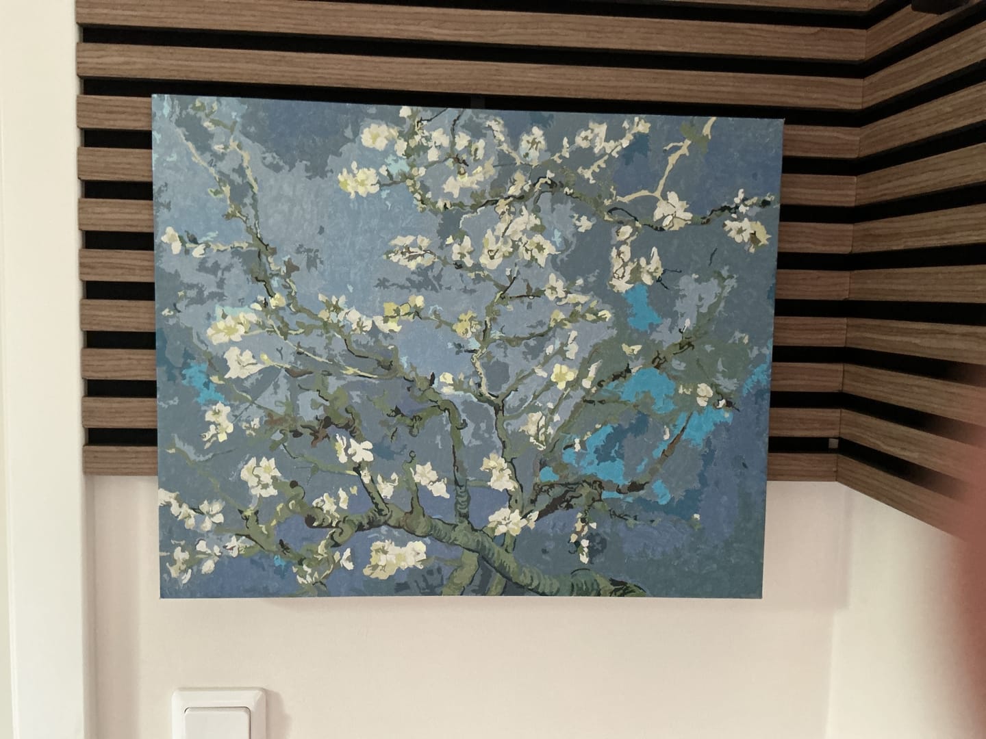 Customer photo review of Malen nach Zahlen - Mandelblüte - Vincent van Gogh