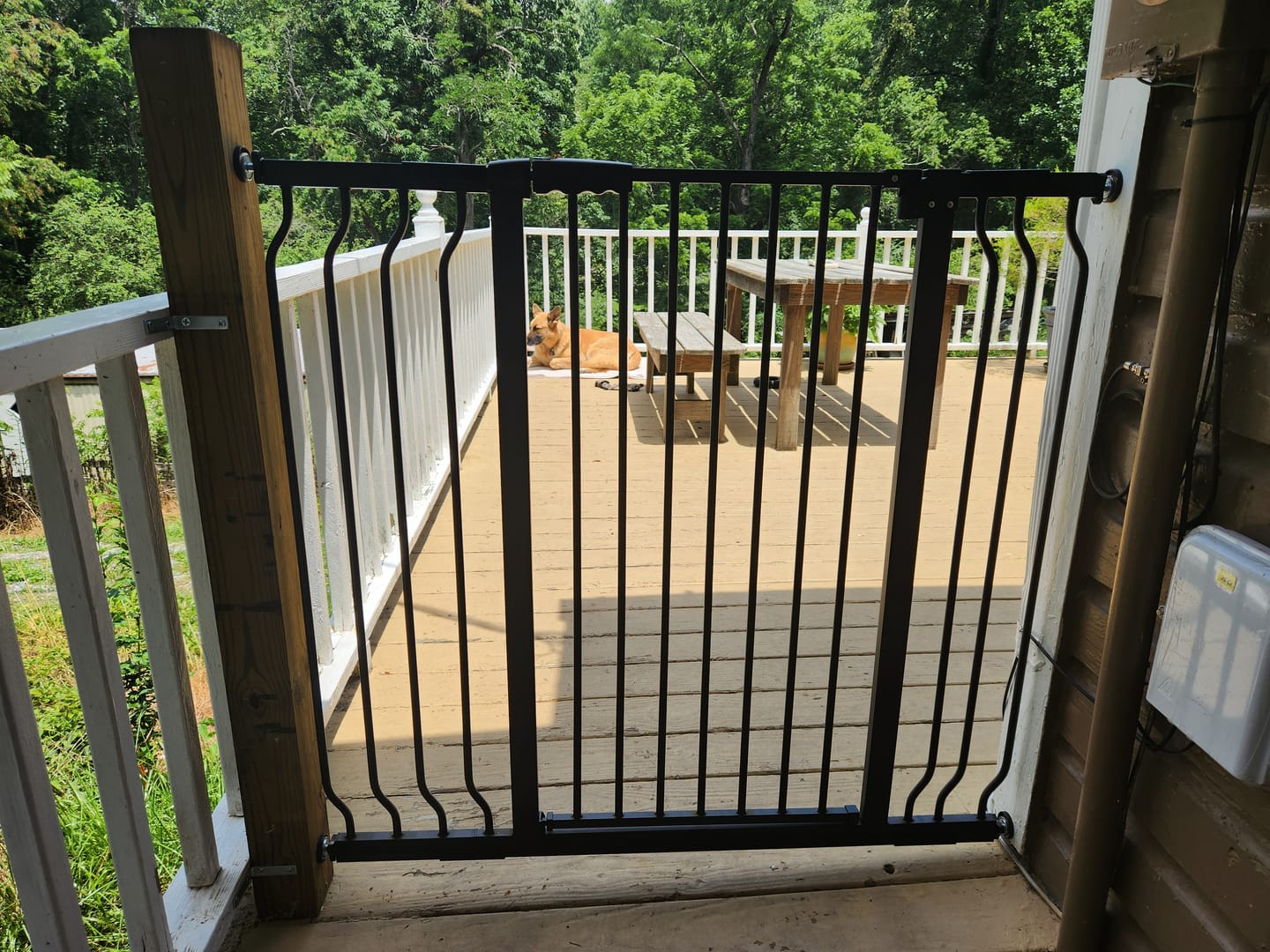 Customer photo review of FairyBaby 40" Extra Tall Auto Close Big Dog Gate