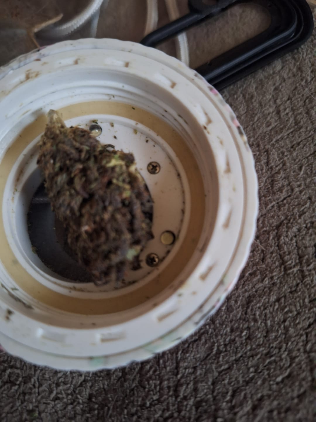 Customer photo review of Green Crack - Minis - 14 Grams - Sativa