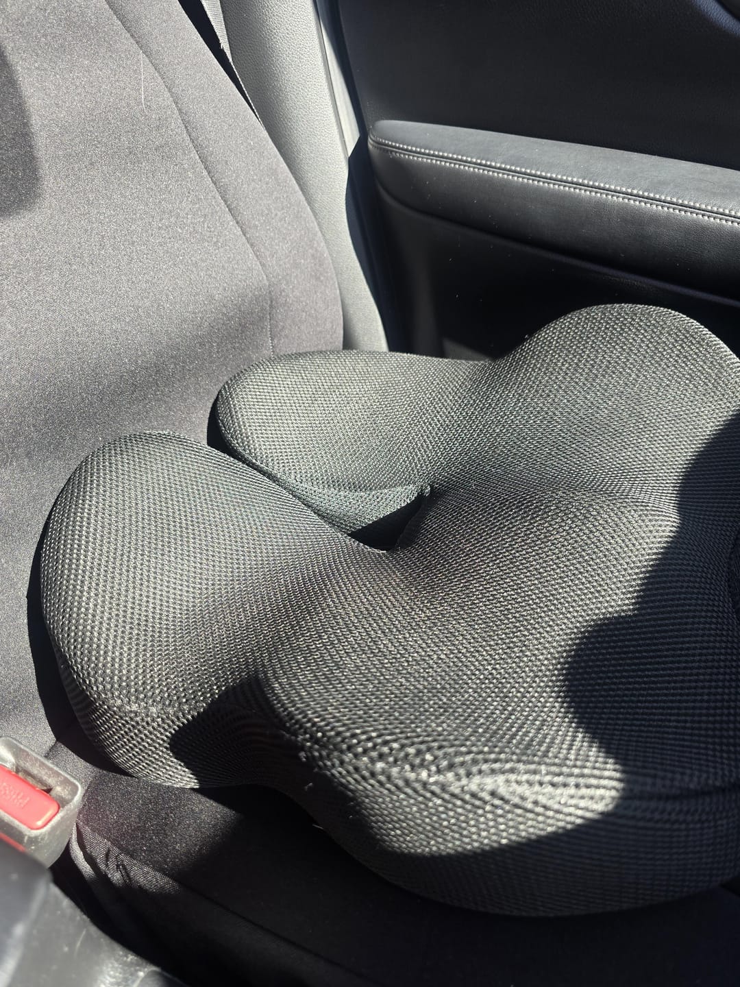 Customer photo review of Spinely® ComfortPro