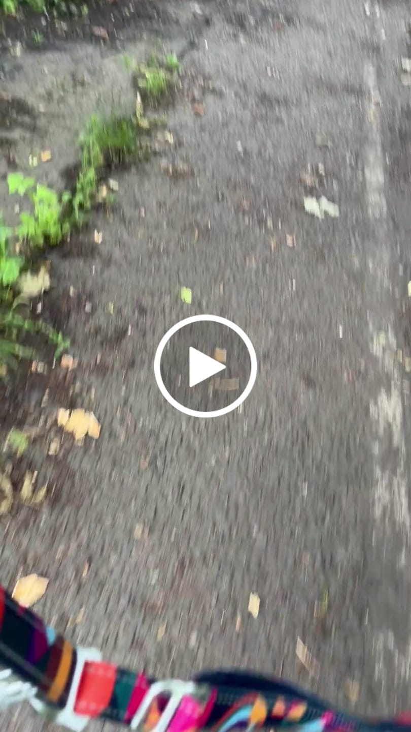 Customer video review of Multi-Way Lead