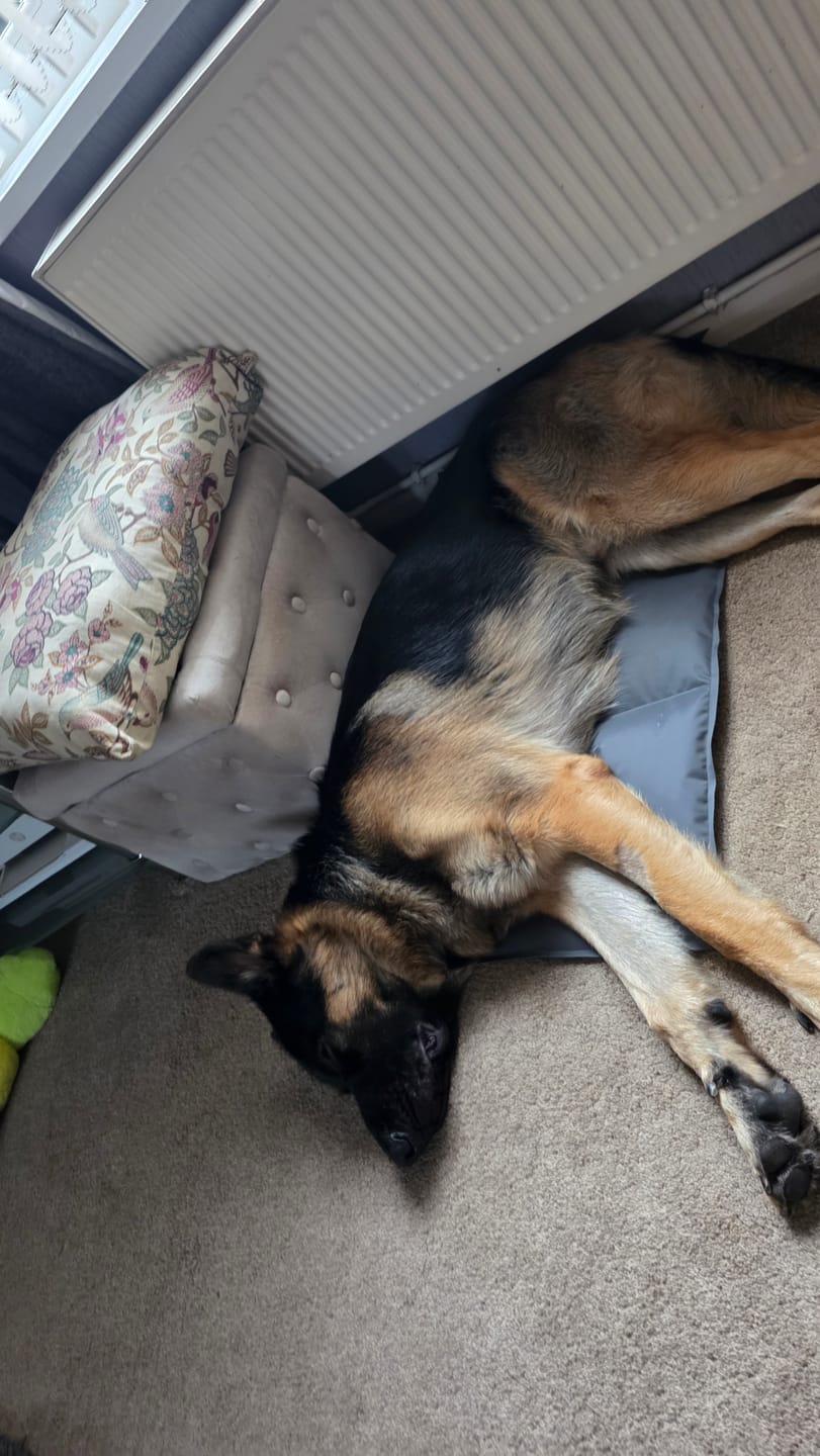 Customer photo review of Arctic Cooling Mat