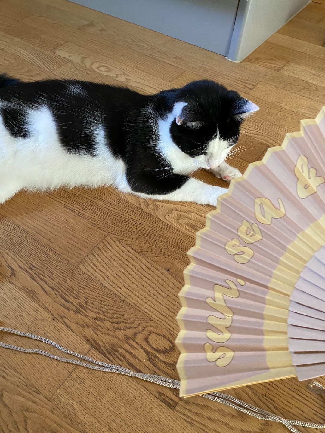 Customer photo review of Sommer Fächer  Sun & Sea & Sand mit Kordel 41 x 21cm