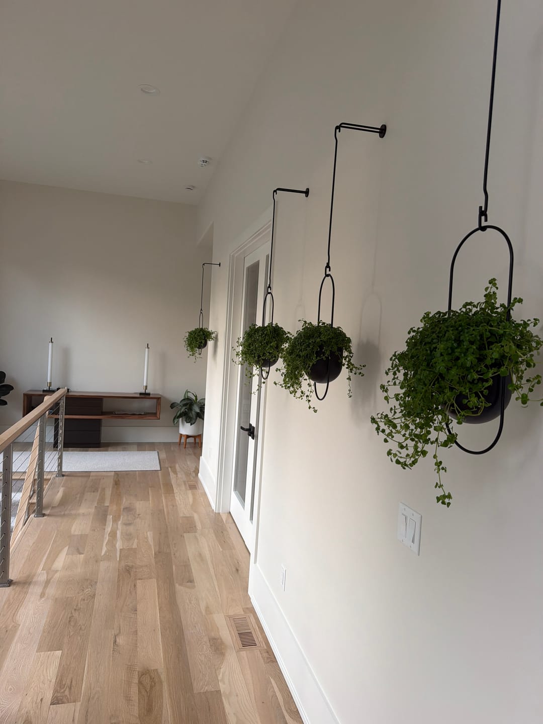 Customer photo review of Plant Hanger
