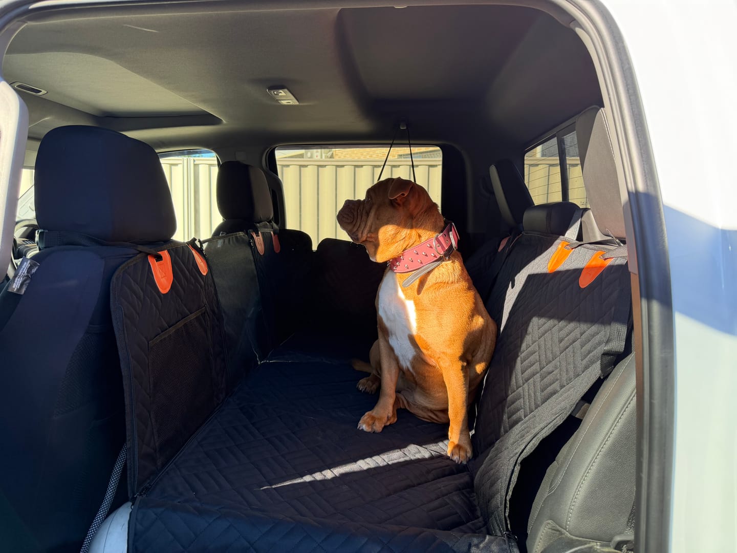 Customer photo review of Paw Protect - Hard Bottom Car Seat Cover🐾
