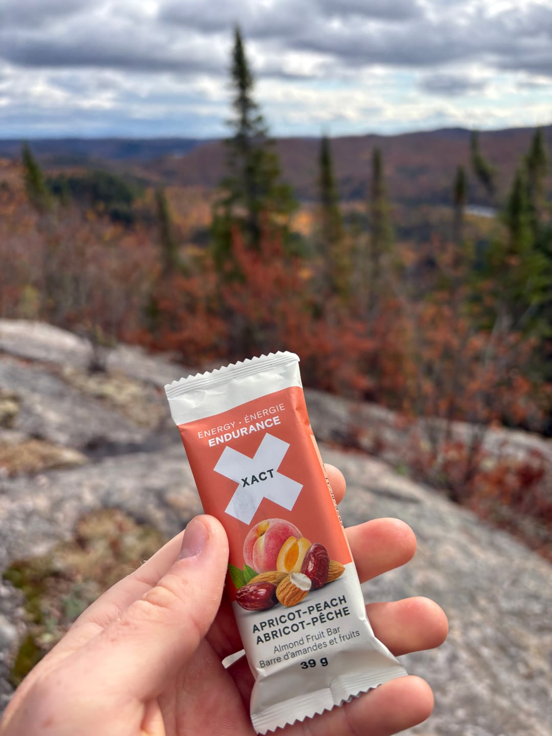 Customer photo review of XACT Endurance Bars