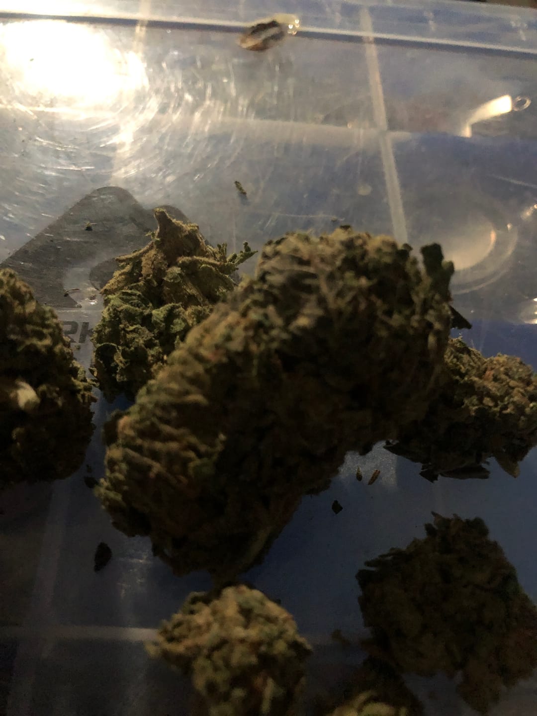 Customer photo review of LITTLES BRAND - Gorilla Glue - 28 Grams Littles - Hybrid