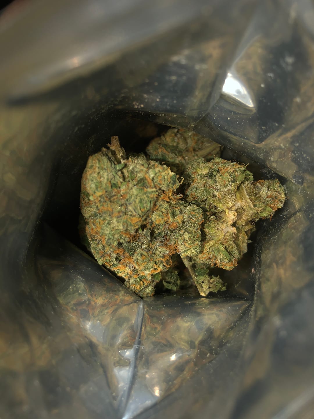 Customer photo review of Headband THCA Flower (Exotic)