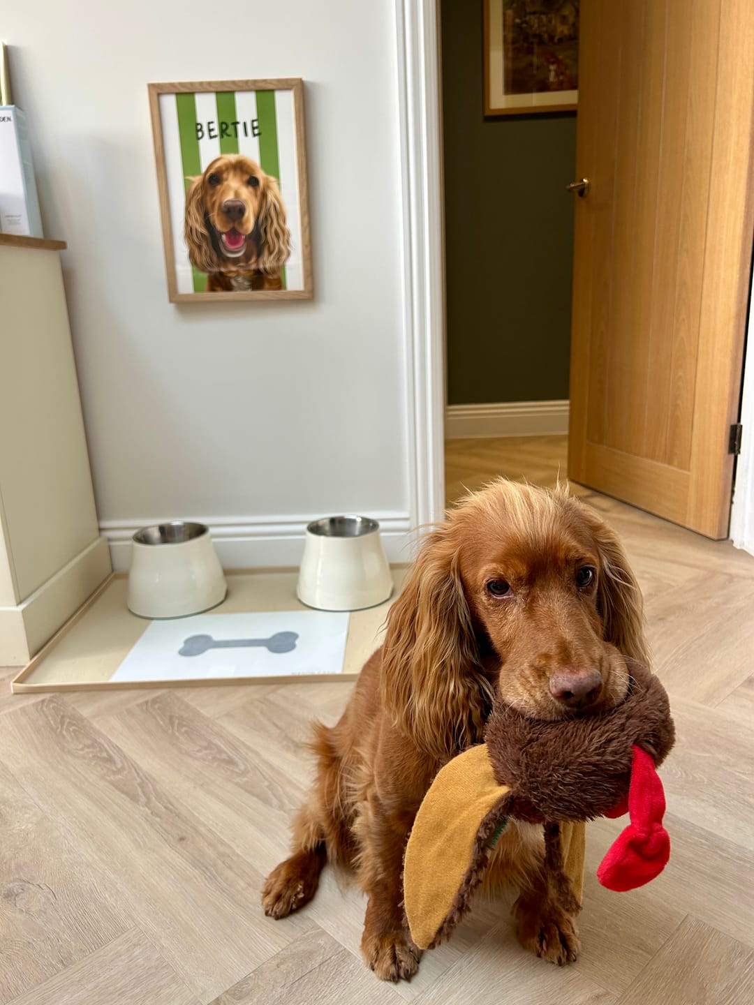 Customer photo review of Stripy | Custom Pet Portrait
