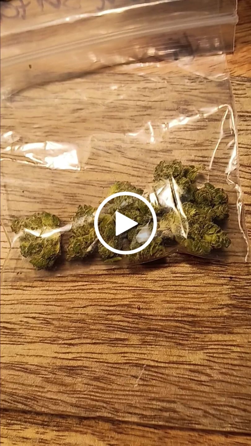 Customer video review of Alien OG - 4 Grams - Indica
