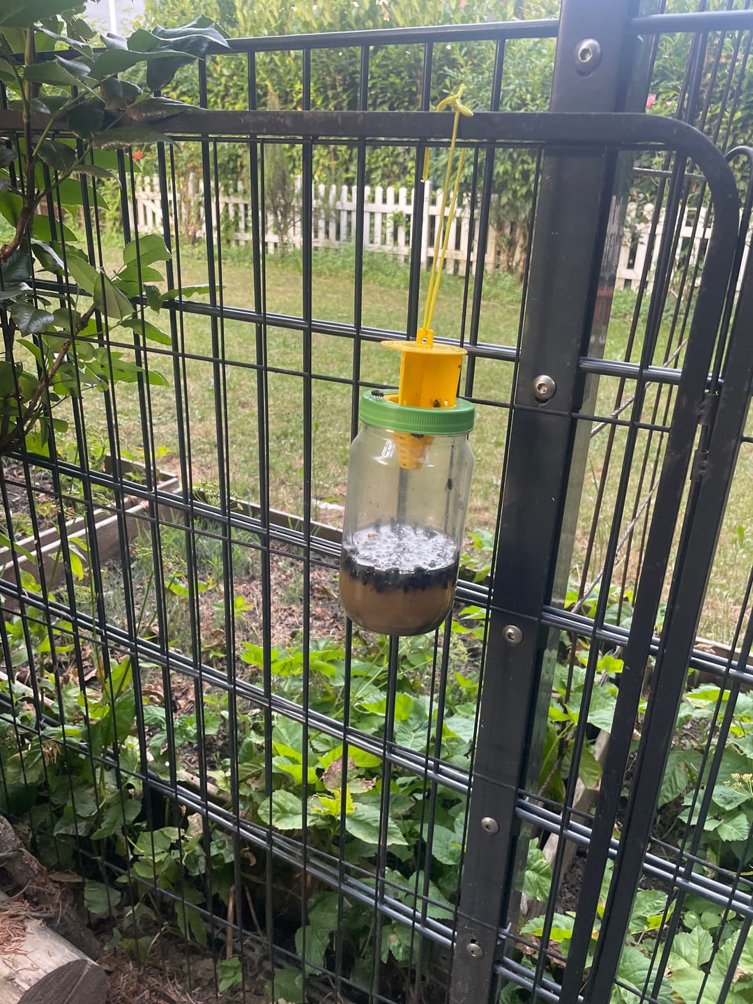 Customer photo review of HorseSafe LiquidTrap – Schluss mit Fliegenstress auf deinem Hof