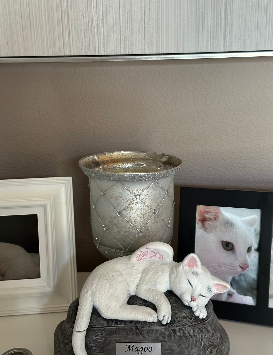 Customer photo review of Short Haired Custom Painted Ceramic Cat Urn - No Wings