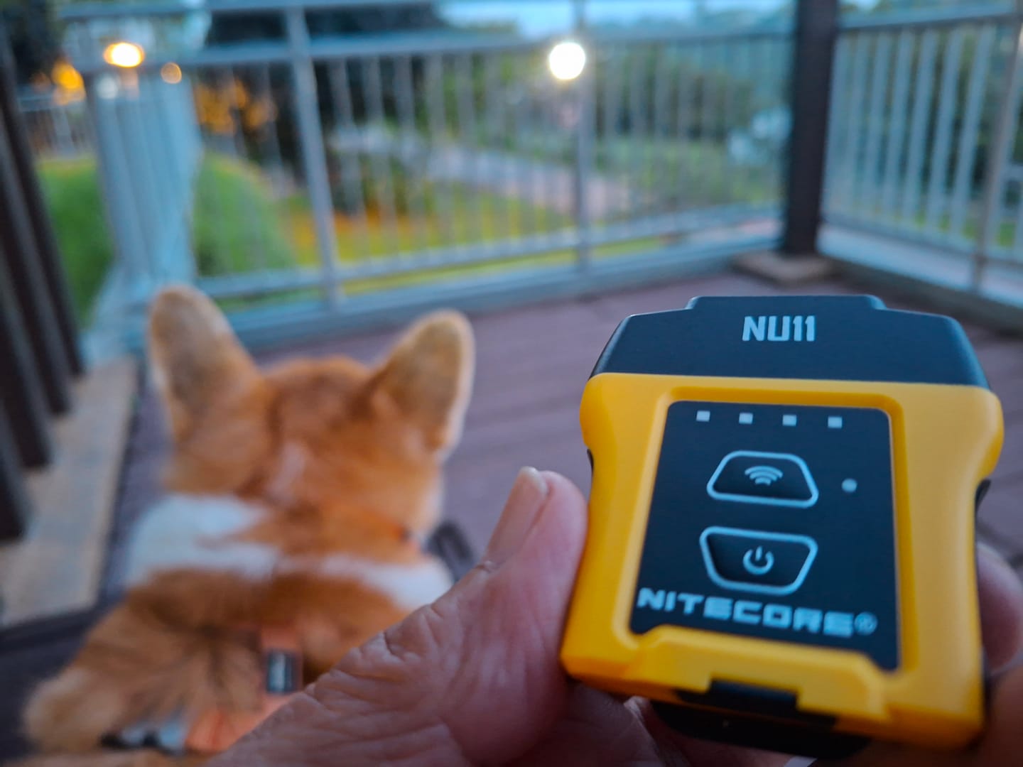 Customer photo review of NU11 - 150 lumens