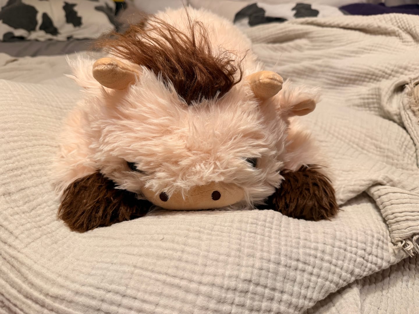 Customer photo review of MeWaii® Brown Cow Fuzzy Long Haired Weighted Stuffed Animal