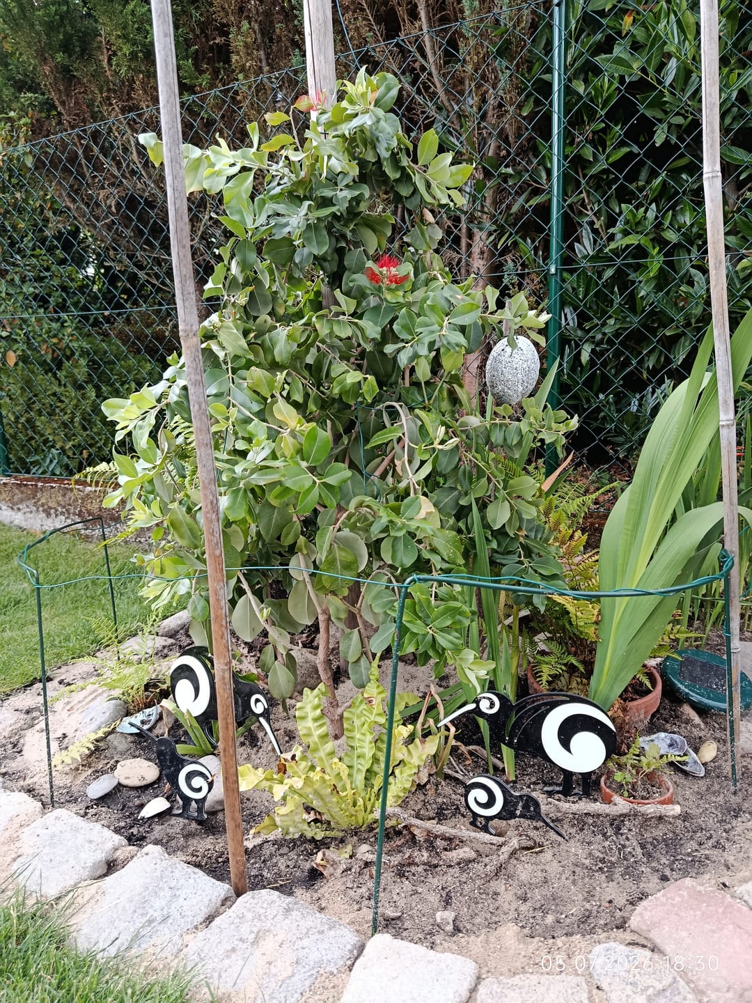 Customer photo review of Set of Aluminium Kiwi Bird Garden Ornaments