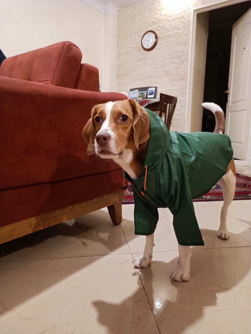Customer photo review of Nylon Rainbreaker