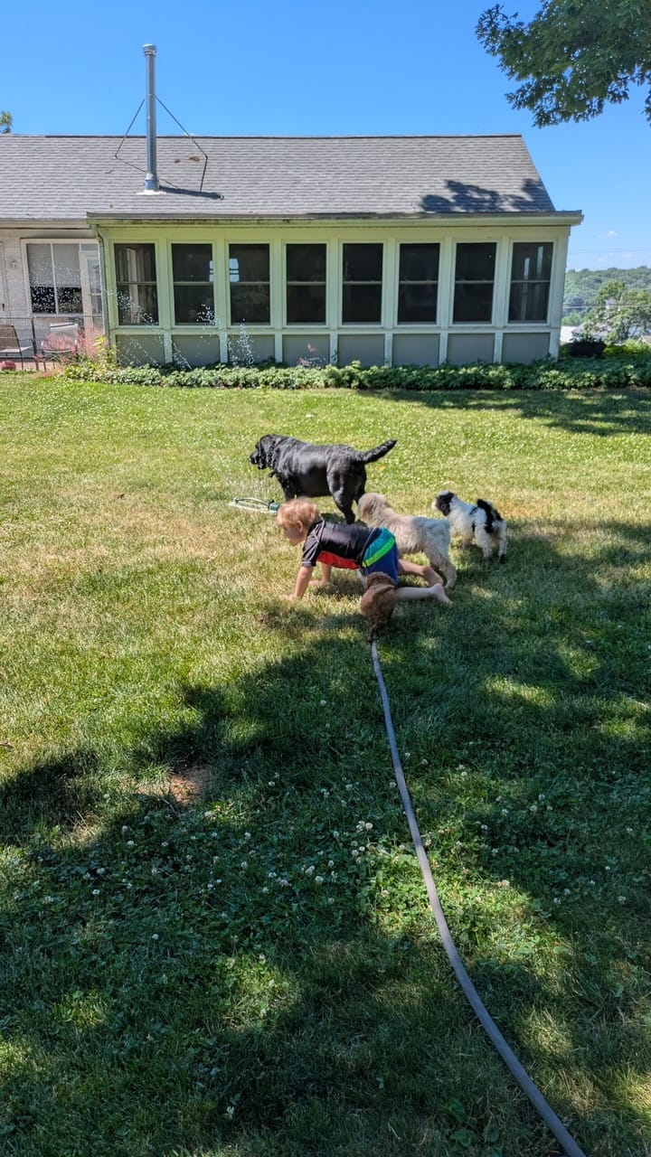 Customer photo review of Simparica Trio For Dogs 22.1-44 lbs (10-20 kg)