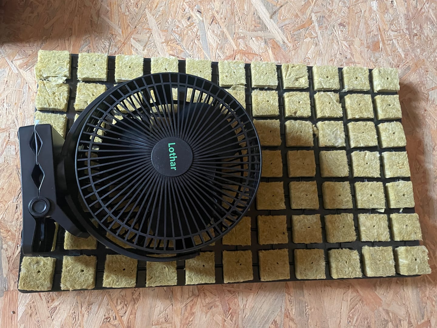 Customer photo review of Lothar Mars Hydro Clip Fan
