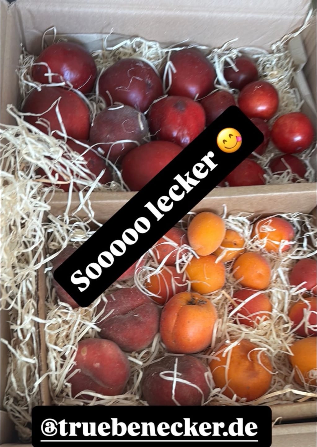 Customer photo review of Steinobst-Mix Bio "Sonnenküsse" Box