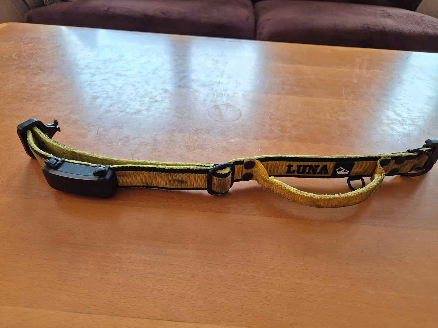 Customer photo review of Szeroka obroża z klamrą extreme - Extreme Buckle Black Edition Żółta