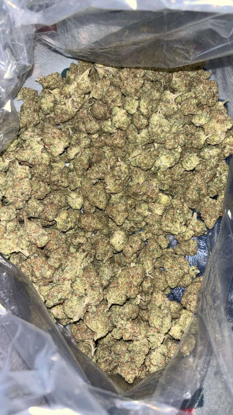 Customer photo review of True OG - Minis - 28 Grams - Indica