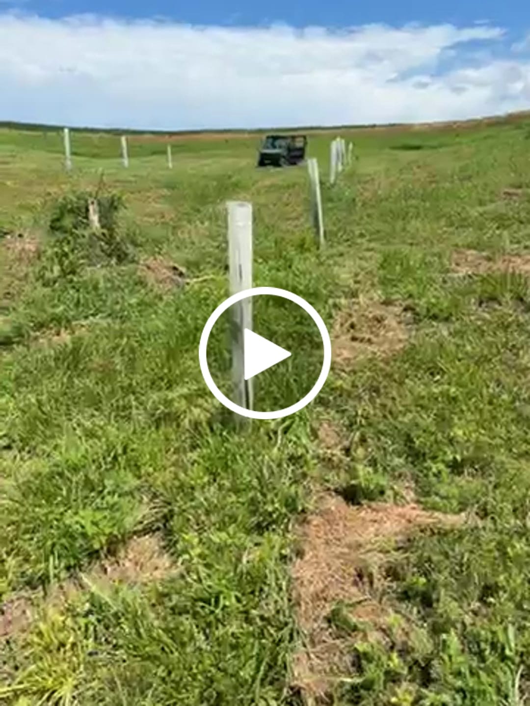 Customer video review of Hybrid Chestnut