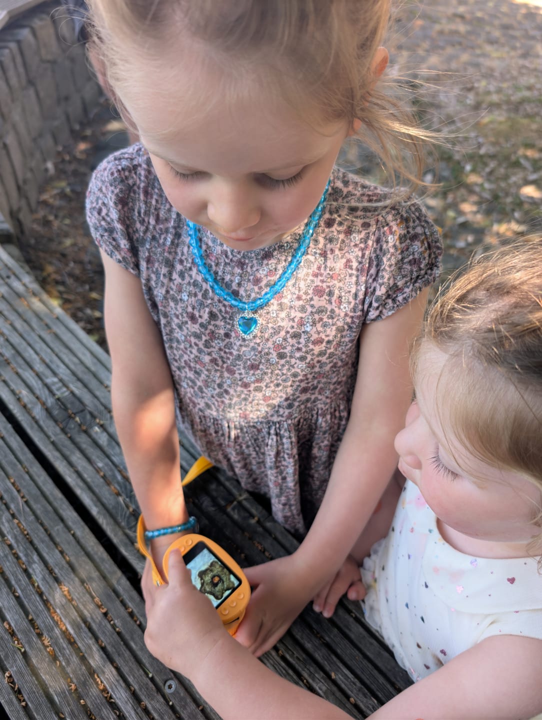 Customer photo review of Edubini Abenteuer-Mikroskop für Kinder