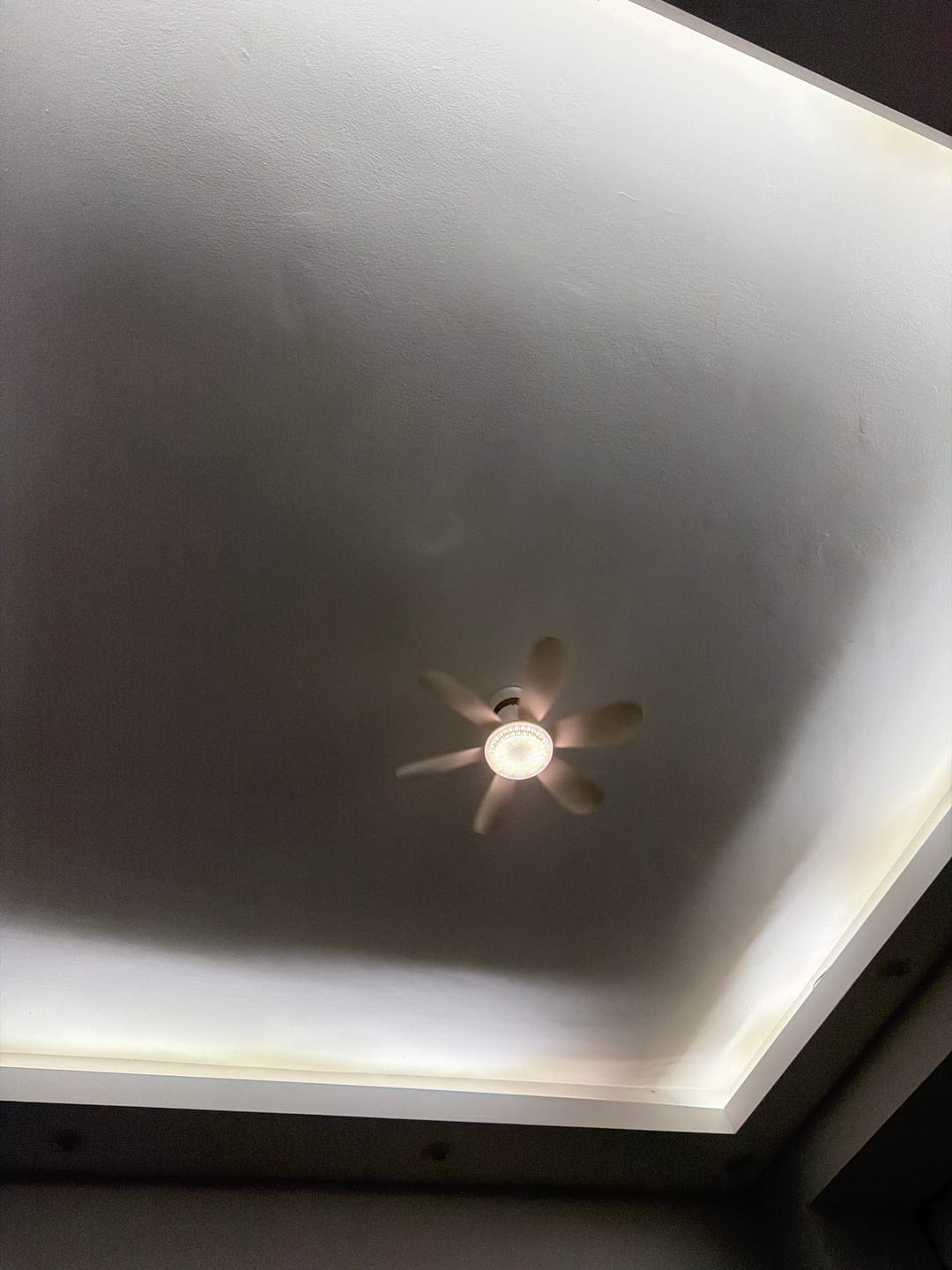 Customer photo review of Ventilight Fanlı Led Lamba Pro - Tavan Vantilatörü