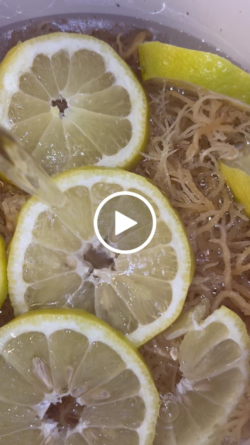 Customer video review of $16 lb Sea Moss from the pristine waters of St. Lucia- wildcrafted