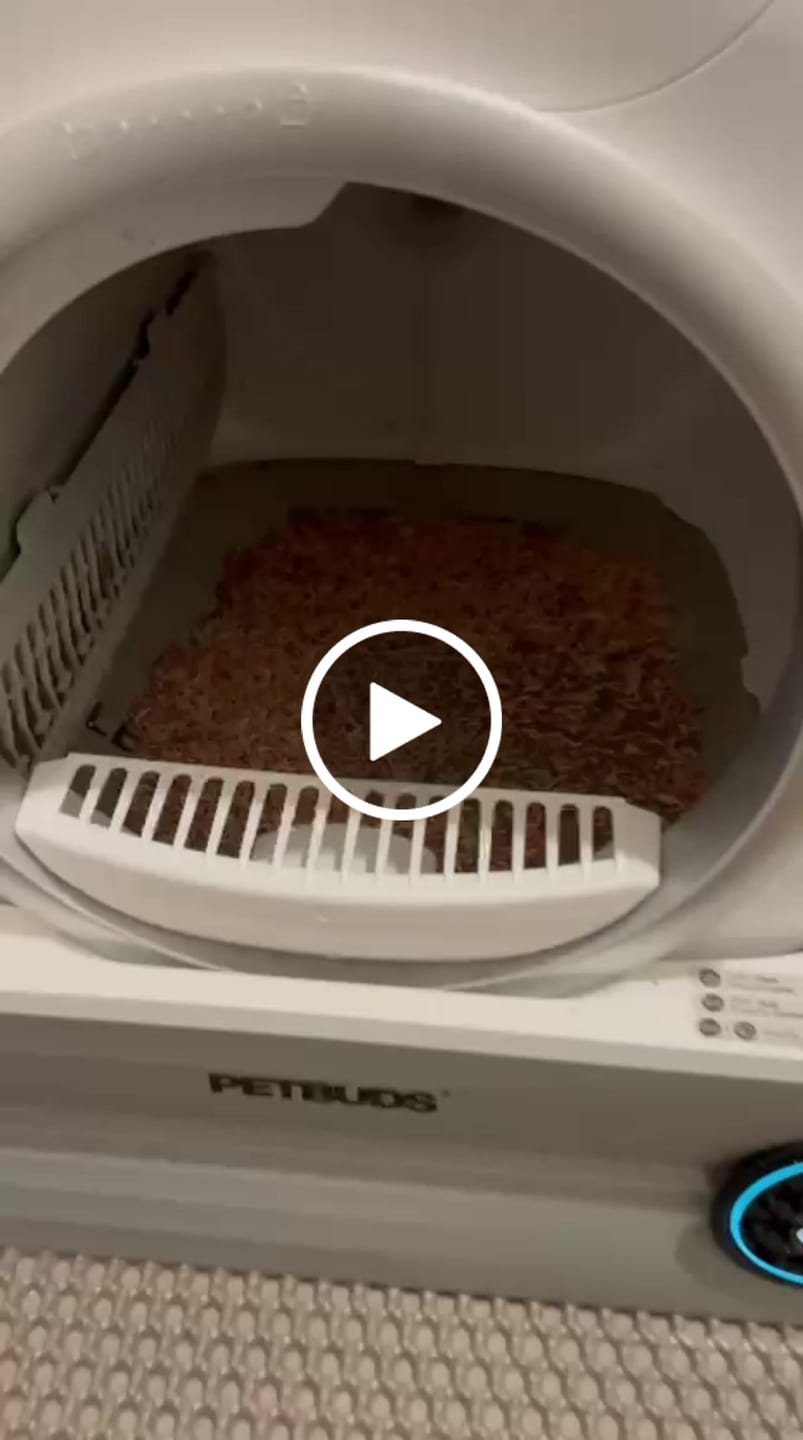 Customer video review of Petbuds™ Pro 2026 Automatic Self-Cleaning Litter Box