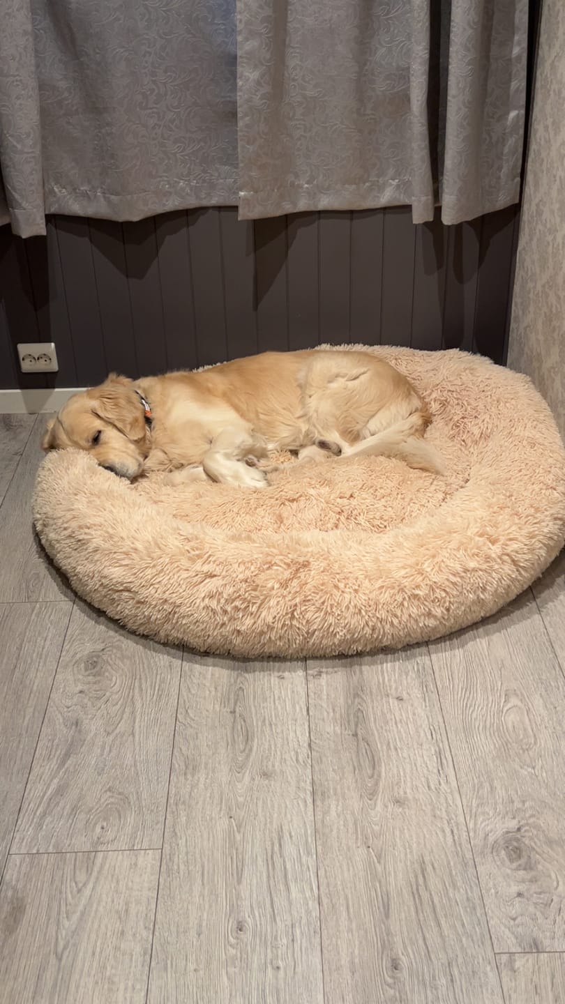 Customer photo review of CalmBed - Motvirker stress & hjelper mot angst