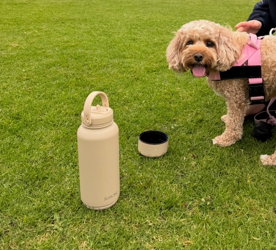 Customer photo review of The Fettchi Bottle Beige