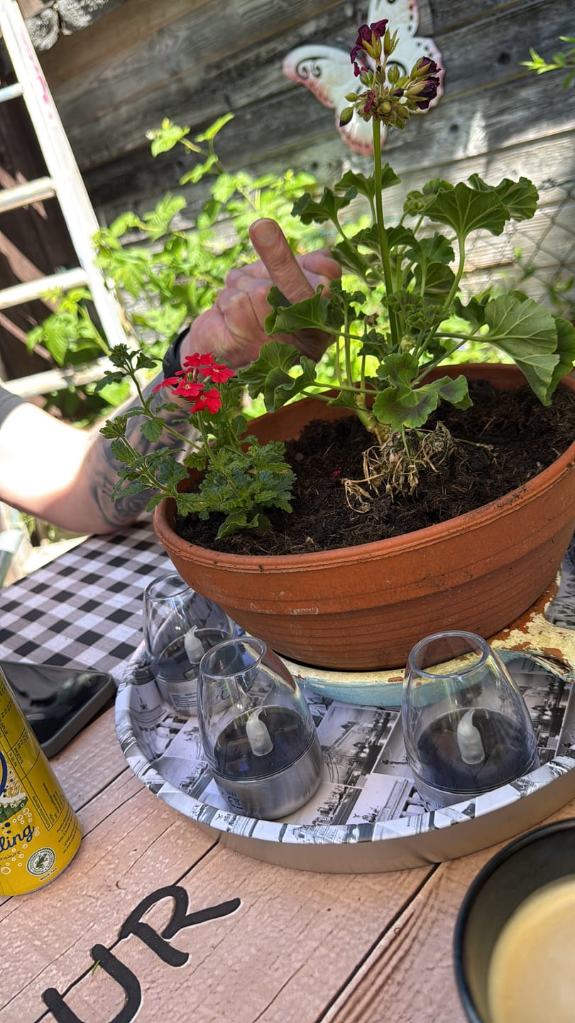 Customer photo review of Hesi Phosphor Plus
