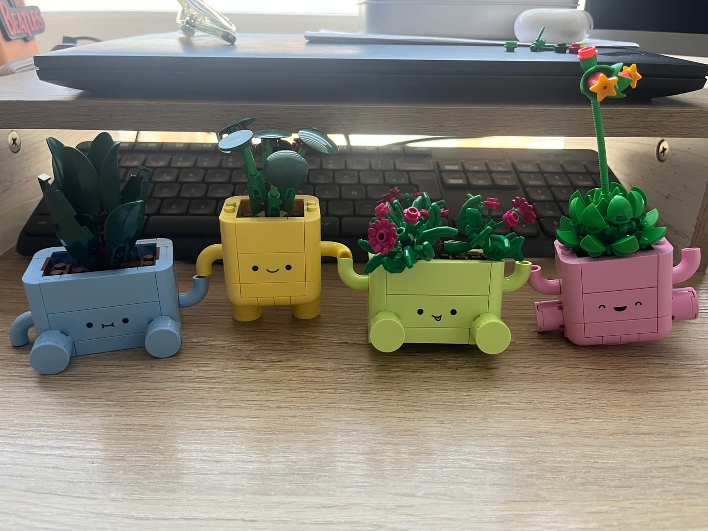 Customer photo review of PLANTAS BAILARINAS
