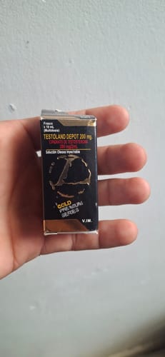 Cliente sosteniendo en la mano la caja negra y dorada de Testoland Depot 200 mg.