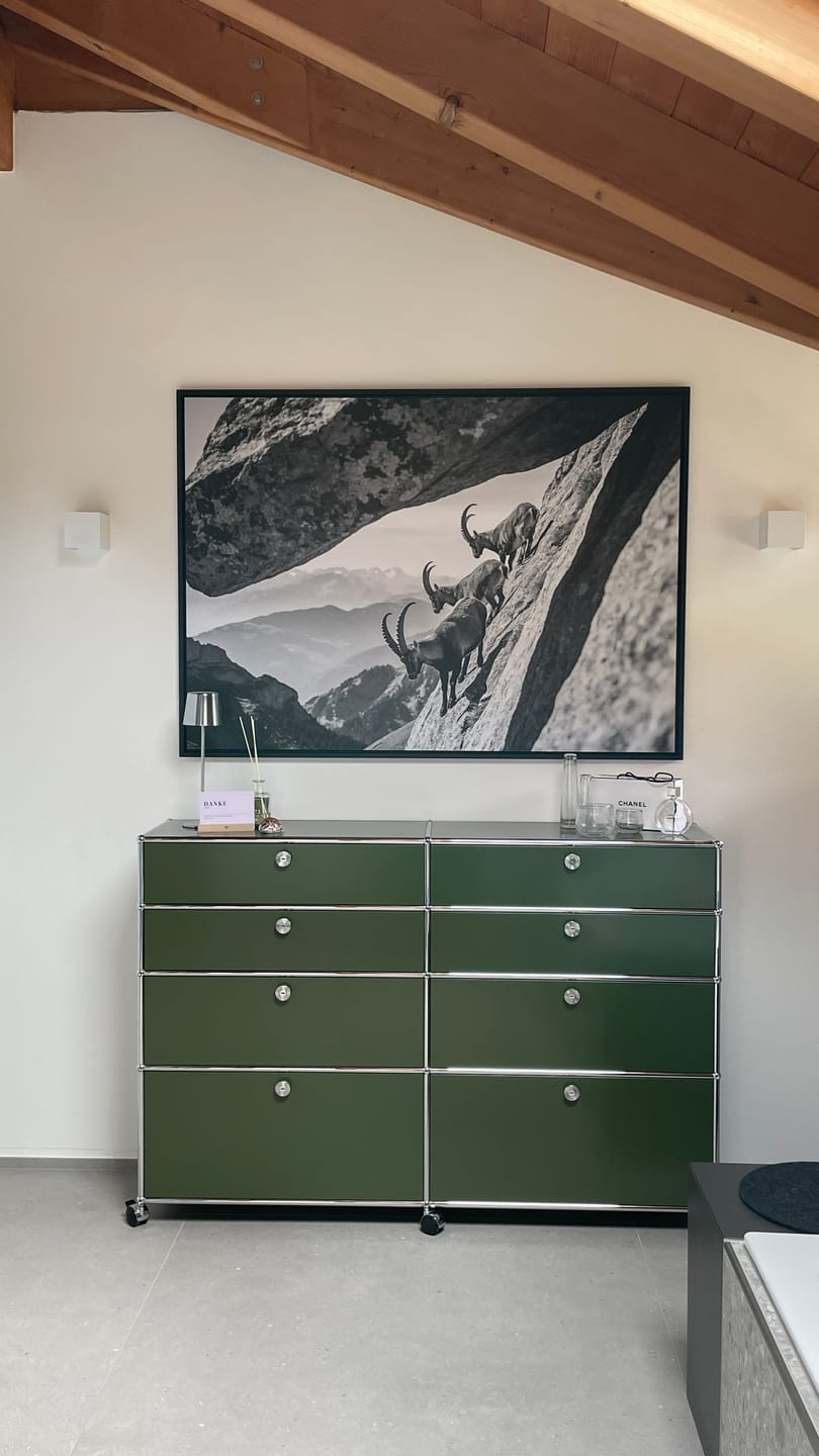 Customer photo review of Alpine Ibex Cliff