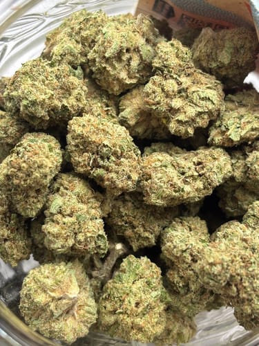 Customer photo review of Papaya Dream THCA Flower