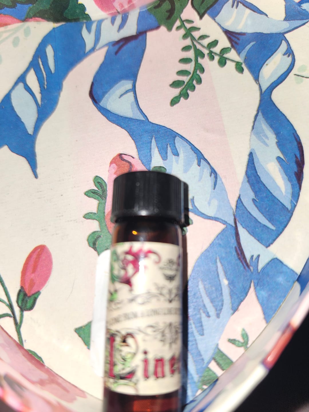 Customer photo review of Bloodline