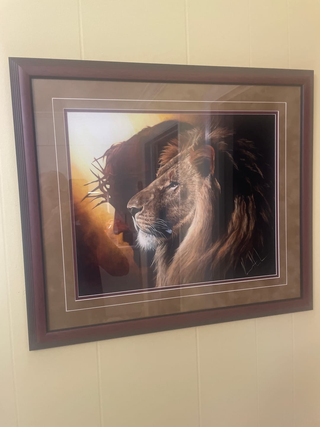 Customer photo review of The Lion of Judah™
