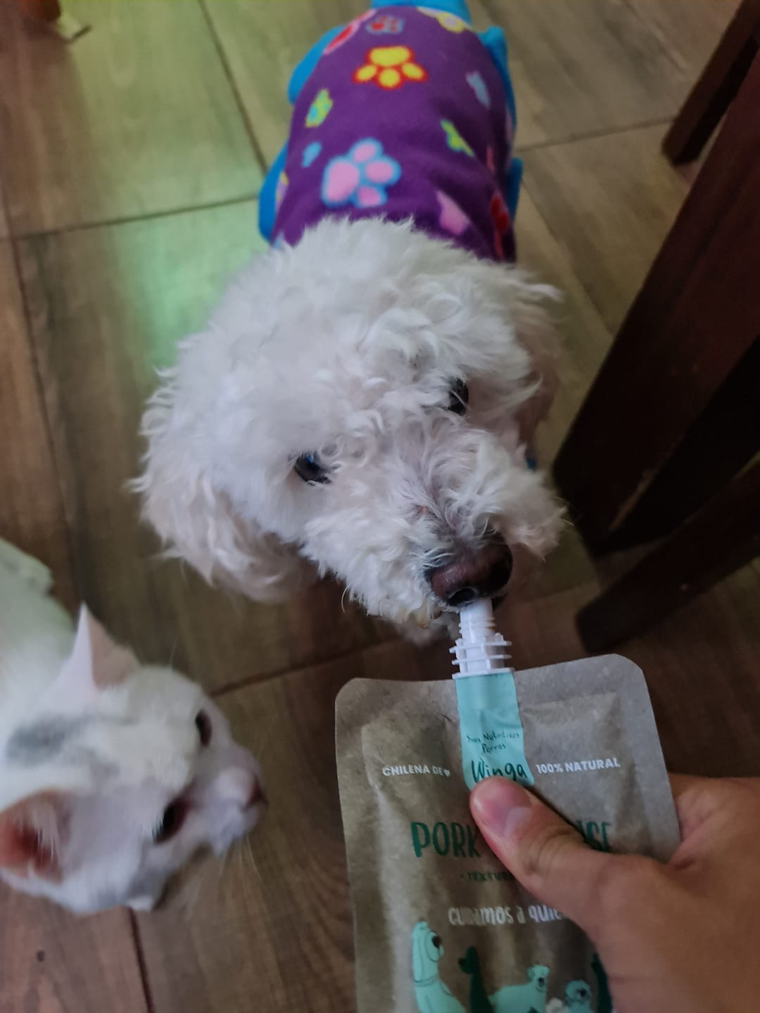 Customer photo review of Pork Paradise Perros