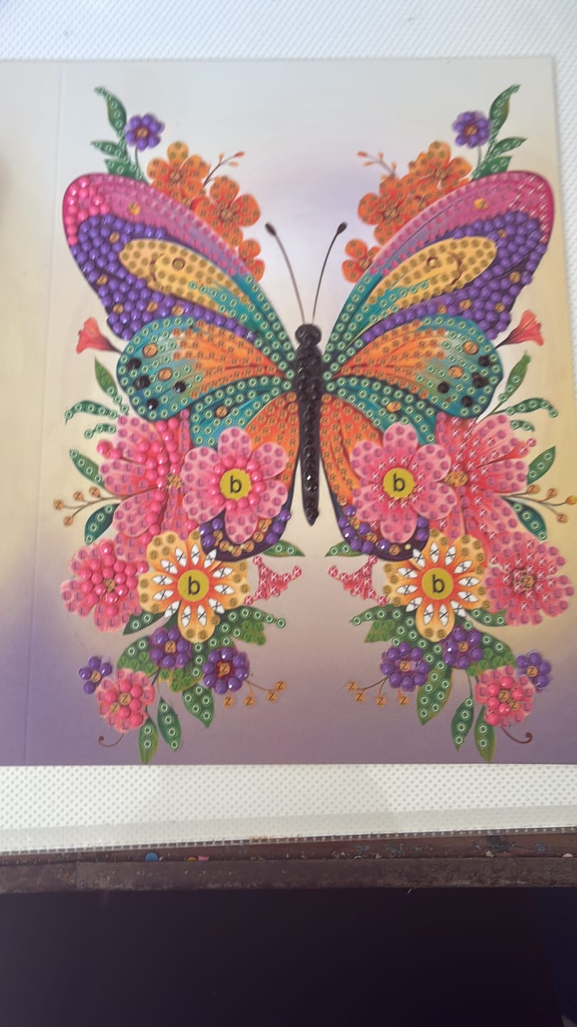 Customer photo review of Wildlife Crystal Art Mystery Box