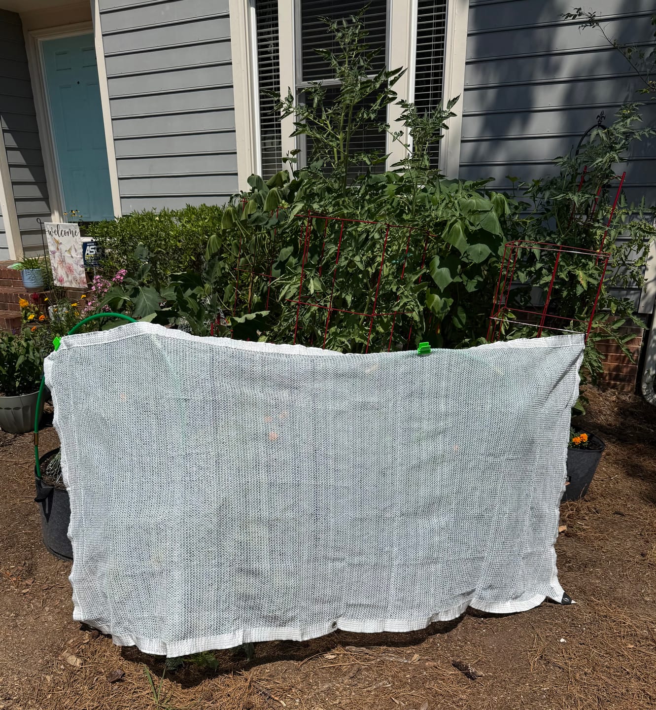 Customer photo review of 30% Shade Cloth
