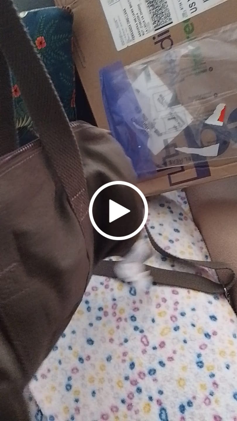 Customer video review of [2ND PRE-ORDER] BTS - ARIRANG WORLD TOUR OFFICIAL MD OFFICIAL LIGHT STICK BAG